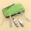 6Pcs Stainless Steel Manicure Pedicure Ear Pick Nail Clipper Set With Case