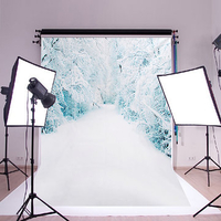 7X5FT Silk Backdrop Snow Photography Photo Prop Studio CP Background