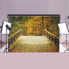 7x5ft Bridge Autumn Photography Backdrop Photo Background