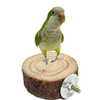 8CM Parrot Wooden Perch Platform Hanging Cage Round Stand Holder Coin Pet Bird