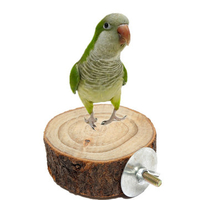 8CM Parrot Wooden Perch Platform Hanging Cage Round Stand Holder Coin Pet Bird