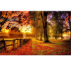 9x6FT Fall Scenic Vinyl Backdrop Studio Photography Photo Prop Background Wall Art