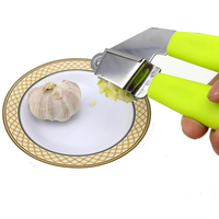 ABS Stainless Steel Garlic Presses Crusher Ginger Garlic Masher Chopper Fruits Vegetable Tools