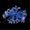Aquarium Fish Tank Artificial Coral Plant Decoration Blue Software