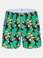 Arrow Pants Casual Home Cotton Birds Printing Shorts Sleep Bottom Boxers for Men