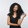 Black Short Small Curly Wavy Synthetic Hair Wig Party African American Wigs 45cm