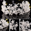 Bride Flower Artificial Pearl Headpiece Bridal Wedding Headband Hair Accessories