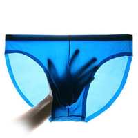 Casual Breathable Ice Silk Transparent Thin Breathable Seamless Briefs for Men