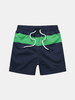 Casual Swimming Beach Mixed Colors Quick Drying Breathable Beach Shorts for Men