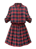 Casual Women Stand Collar Button Plaid Elastic Waist Pleated Dress