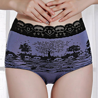 Comfy Lace-trim Classic Print Menstrual Leak Proof Soft Breathable Panties For Women
