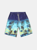 Cool Summer Shorts Quick Dry Casaul Palm Trees Printing Board Shorts For Men