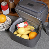 Daul Compartment Insulated Lunch Bag Cooler Lunch Box Tote School Work Picnic Bag