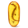 DIY Jewelry Beautiful Amber Fossil Insect Centipede Amber