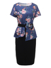 Elegant Women Floral Printed Two Piece Pencil Dress With Belt