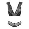 Full Lace Deep V Bra Set