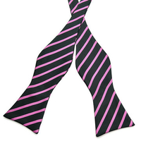 Gentleman Leisure Bowties Ties Stripe Paisley Jacquard Woven Silk Neckties