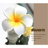 Hair Clip Frangipani Hairpin Beach Wedding Flower Hair Accessory
