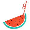 KCASA KC-WE01 Watermelon Shaped Straw Water Fruit Juice Coke Drinking Bottle Beach Party Tumbler