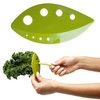 Kitchen Looseleaf Leafy Kale Herb Brassica Napus Rosemary Stripper