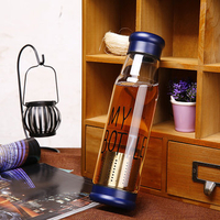 Knight Glass Water Bottle