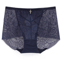 Lace See Through Hollow Out Mid Waist Breathbale Briefs