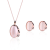 Luxury Jewelry Set Leopard Rhinestone Earrings Necklace Set
