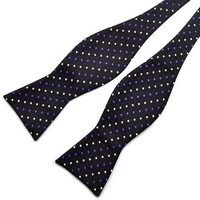 Male Polka Dot Bow Ties Paisley Jacquard Woven Silk Neckties Accessory