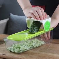 Manual Vegetables Cutter Blades Set Storage Box Slicer Potato Cucumber Cutter Ginger Garlic Grater