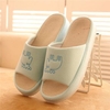 Peep Toe Slip On Pattern Home Floor Indoor Flat Slippers