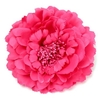 Penoy Flower Hairclip Beach Pin Hat Brooch Party Wedding Decoration