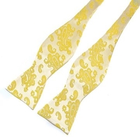 Pensee Gentlemean Jacquard Woven Business Ties Self Bowties Pattern Paisley Silk Neckties