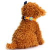 Pet Waterproof Glow LED Light Up Collars Flash Night Adjustable Dog Cat Safety Nylon