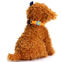 Pet Waterproof Glow LED Light Up Collars Flash Night Adjustable Dog Cat Safety Nylon