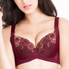 Plus Size Lace-trim Lightly Lined Underwire Gather Embroidered Bras