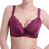 Plus Size Sexy Lace Breathable Push Up Underwire Bras