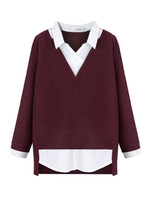 Plus Size Two Piece Turn Down Collar Women Casual Blouse