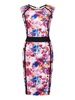 Plus Size Women Round Neck Sleeveless Floral Mini Dress