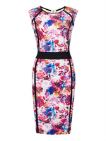 Plus Size Women Round Neck Sleeveless Floral Mini Dress