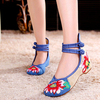 Retro Lace Up Retro Embroidery Flat Floral Dance Shoes