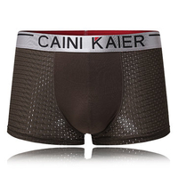 Sexy Cool Breathable Mesh Ice Silk U Convex Mid Waist Modal Boxers Underwear for Men
