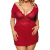 Sexy Deep V Lace Mesh Hollow Out Temptation Babydoll Dress For Women