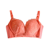 Sexy Embroidered Wireless Lace-trim Gather Lightly Lined Bra