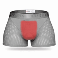 Sexy Ice Silk Mesh Breathable Magnetotherapy Healthcare Boxer For Men