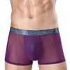 Sexy Ice Silk Mesh Modal Breathable Mid Rise U Convex Pouch Boxers for Men