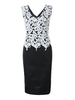 Sexy Lace Crochet V-Neck Slim Pencil Vest Dress For Women
