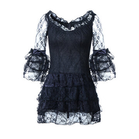 Sexy Lace Embroidery Back Zipper Corset Dress Elastic Transparent Dress For Women