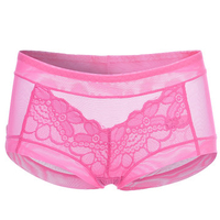 Sexy Lace Embroidery Seamless Net Yarn Transparent Breathable Panties For Women