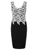 Sexy Lace Patchwork Sleeveless V-neck Party Pencil Dress