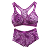 Sexy Leopard Print Sports Bra Set